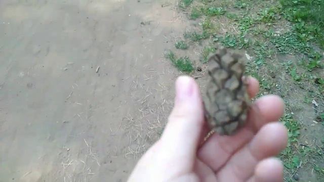 Влог иду на Каму зачем ??? смотреть онлайн