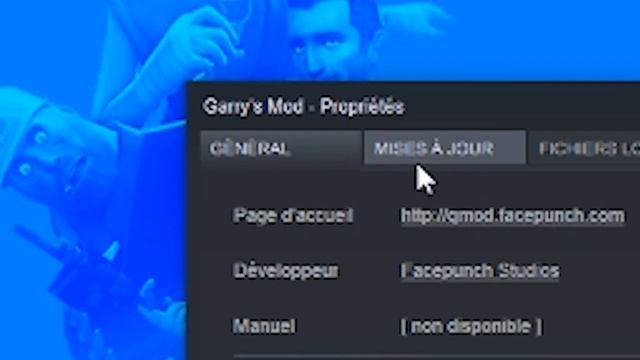 COMMENT METTRE UN JEU STEAM EN PLEIN ECRAN AU LANCEMENT | GTX