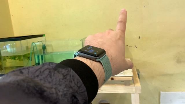 Результат нереста на дождевой воде, начал строительство стеллажей под новые аквариумы смотреть онлайн