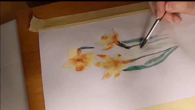 Нарциссы акварелью. За акварельный марафон спасибо leo_schteinberg. смотреть онлайн