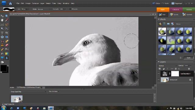 photoshop element 7 tutorial смотреть онлайн