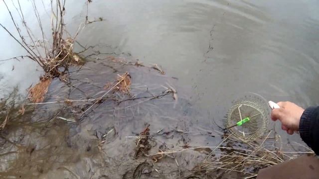 Рыбалка на поплавок по мутной воде, апрель, ловля плотвы,поиск новых мест ,ну и старых тоже смотреть онлайн