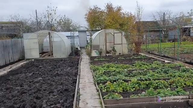 122. Осень 2022. Последние работы на даче ..mp4 смотреть онлайн