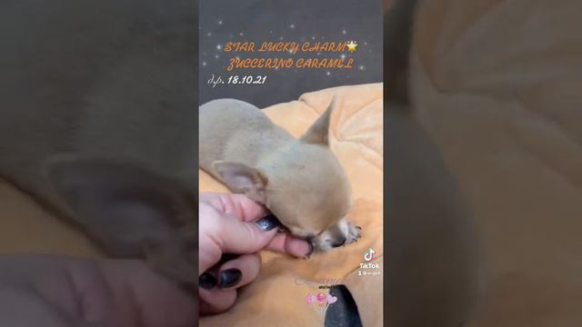 Девочка мини смотреть онлайн