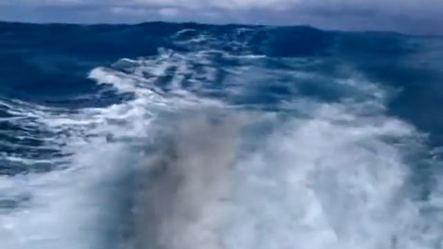 Рыбалка Доминикана.avi смотреть онлайн