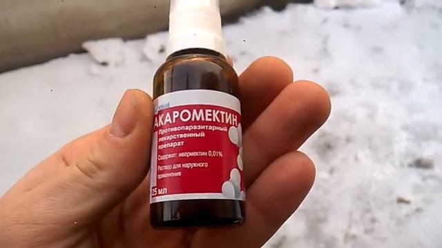 УЖАС кролиководства!!! ушной клещ!! смотреть онлайн