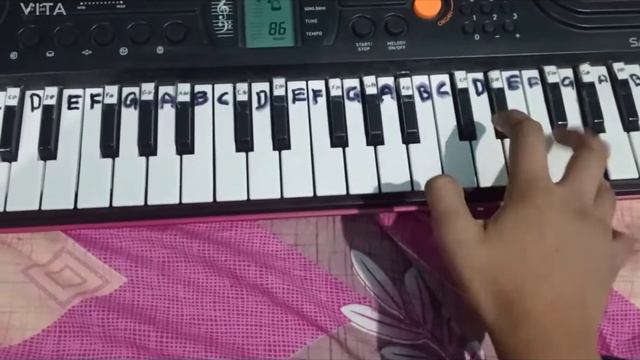 Desh mere song on | CASIO SA 78 смотреть онлайн