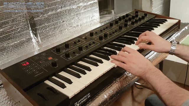 PROPHET 600 | Presets, Sounds & Patches | Sequential Circuits【SYNTH DEMO】 смотреть онлайн