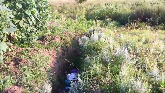 Мичуринские дачники... смотреть онлайн