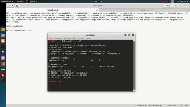 DNS Sorgusu Nasıl Yapılır ? Dig Kullanımı смотреть онлайн