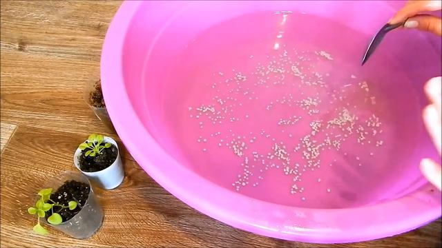 Супер подкормка для рассады и не только! смотреть онлайн