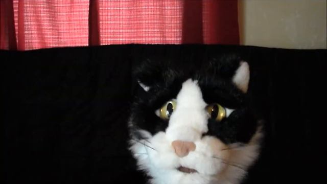 Puppet Interviews: Ralph the Tomcat смотреть онлайн