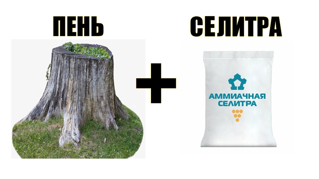 Как уничтожить пеньИзбавление от старого пенька химическим способом.mp4