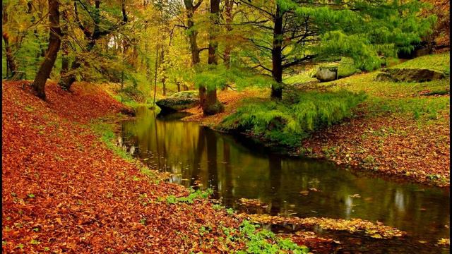 Zen Music | Calming Waters & Flute | For Meditation | Yoga | Healing | Relaxation смотреть онлайн