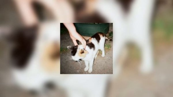 alex g - sometimes (instrumental)