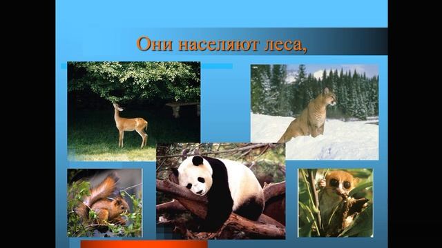 наука зоология