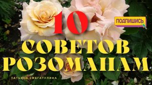 Заказ роз: Кто виноват и что делать