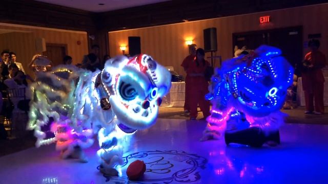 Sifu's Wedding LED Lion Dance смотреть онлайн