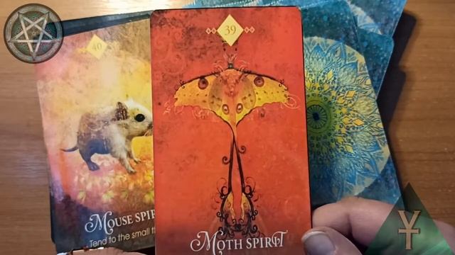 SpiritAnimal Oracle Оракул Дух Животных смотреть онлайн