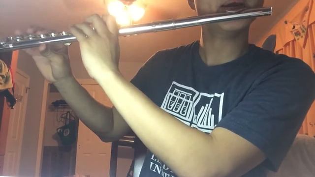 “The Field of Hopes and Dreams” from Deltarune (flute) 🌾🌾 смотреть онлайн