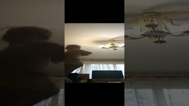 дети Повторяйте за мной смотреть онлайн
