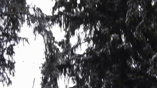 Куница7 смотреть онлайн