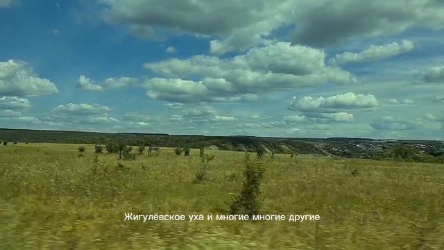 ЖИГУЛЕВСК.ТУРБАЗА "ПРИВОЛЬЕ".