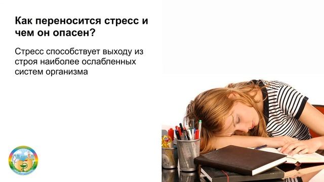 Оазис спокойствия