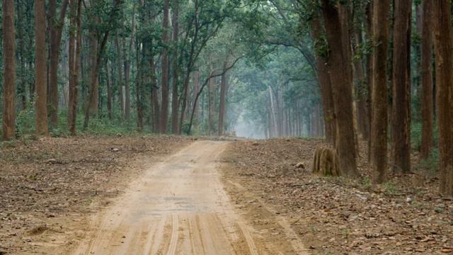 Markus Werba - Die zwei blauen Augen (Mahler) смотреть онлайн