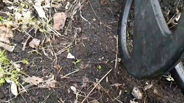 Для меня эти находки ценные. смотреть онлайн
