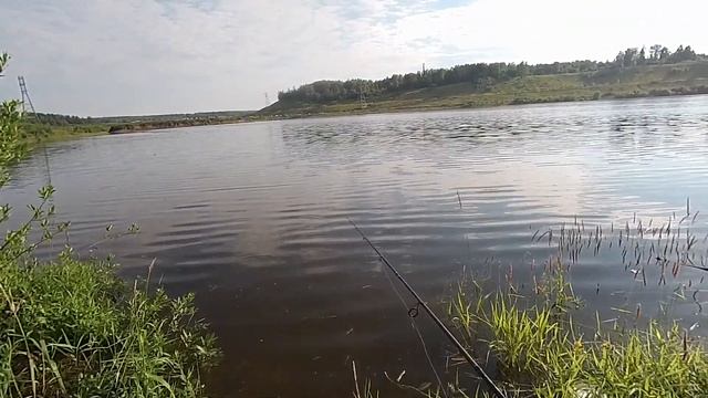 Ловля уклейки лайтовым спиннингом на лёгкую мормышку. Raptor S200L 2-10 в деле. смотреть онлайн