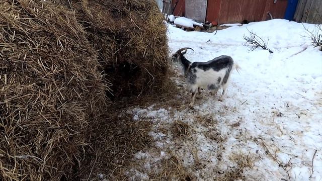 Весна. Потоп. Голодный март смотреть онлайн