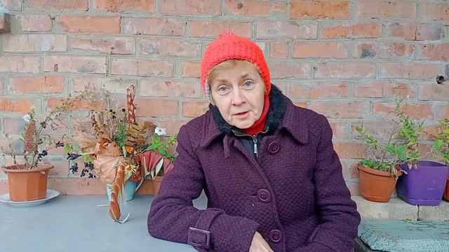 Славянск 11 ноября 2022. Обо всем понемногу. смотреть онлайн
