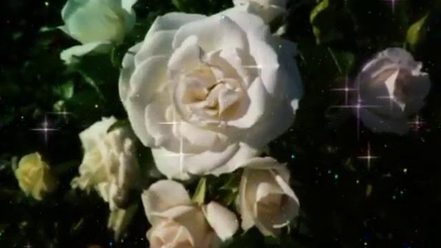 ?МУЗЫКА,КОТОРАЯ ДАРИТ СЧАСТЬЕ...НАСЛАЖДАЙСЯ!!! смотреть онлайн