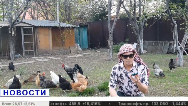 Этика и этикет делового общения в Казахстане