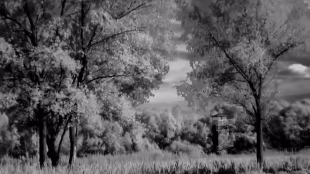 Инфракрасное Infrared [2008-2009] смотреть онлайн