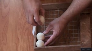 Инкубация индоутиных яиц. Эксперимент 1. Часть 1. Закладываем яйцо в инкубатор