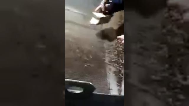 Вибросито ВС 12Н смотреть онлайн