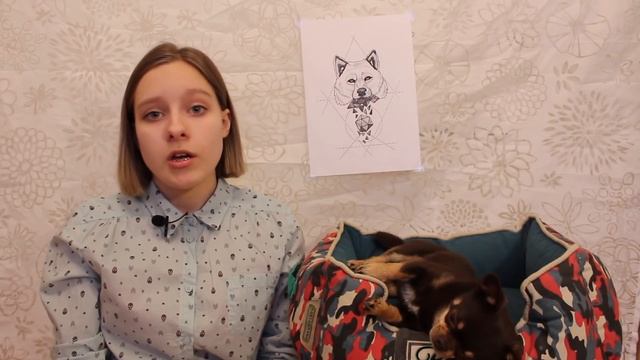 Мои разочарования в собаке (почти минусы) смотреть онлайн