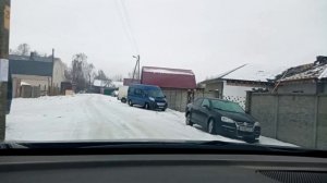 Черничный Хутор. Животные.