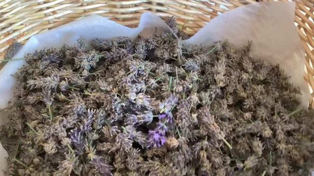 How to make lavender oil and use after 3 days смотреть онлайн