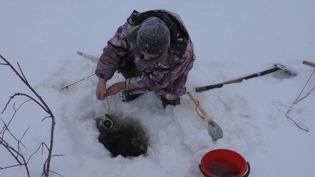Рыбалка на НАЛИМА в декабре / Проверка продольников от 06.12.19 смотреть онлайн
