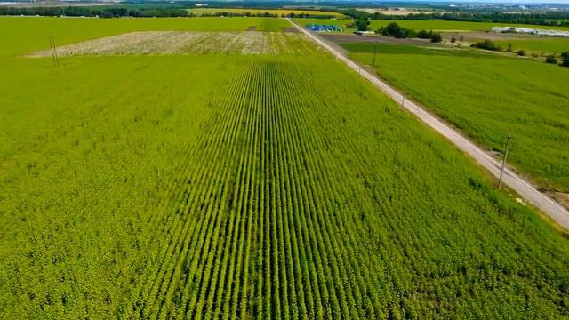 Продажа земли схн 3,2 га в Северском районе Краснодарского края смотреть онлайн