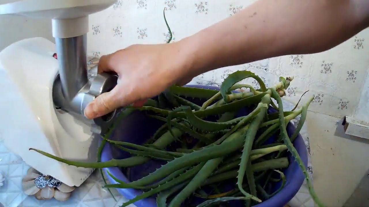 Сок из алое делаю просто смотреть онлайн