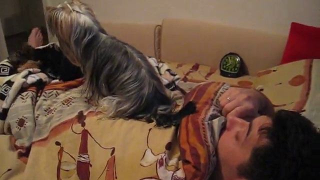 Как девули папку будят смотреть онлайн