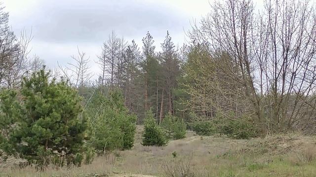 6 мая народный праздник День Георгия Победоносца. Юрьев день.Что нельзя делать. Народные традиции смотреть онлайн