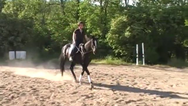 River trotting loose rein смотреть онлайн