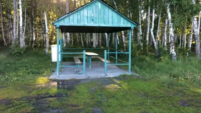 Уборка мусора на озере "Сулюклинское" // "Кошкалак" // "Солёное" // уборка леса у озера смотреть онлайн