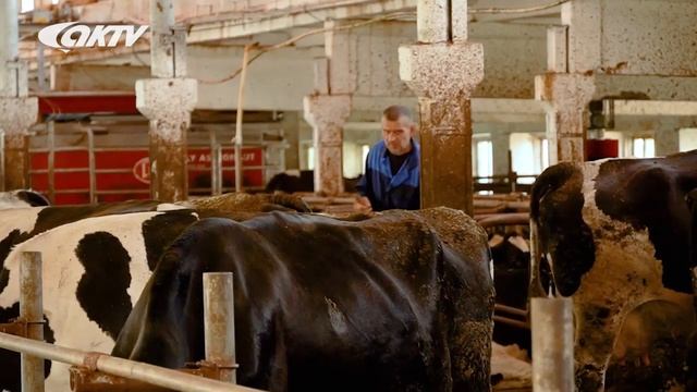 Летние новости: 9 августа 2021