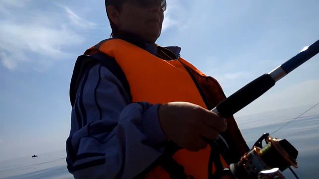 Wegas смотреть онлайн